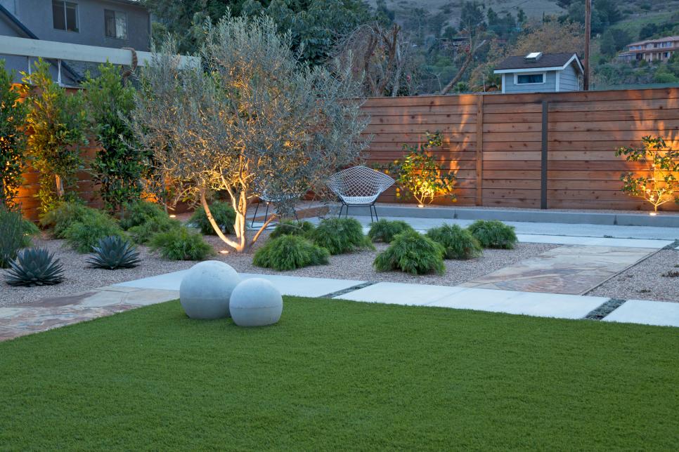 Contemporary Backyard With Olive Tree, Olive Tree Landscaping