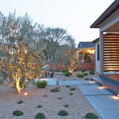 Front Yard With Gravel