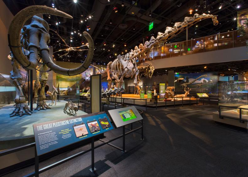 Perot Museum of Science and Nature, Dallas