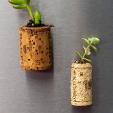 Wine Cork Succulent Planter Magnets