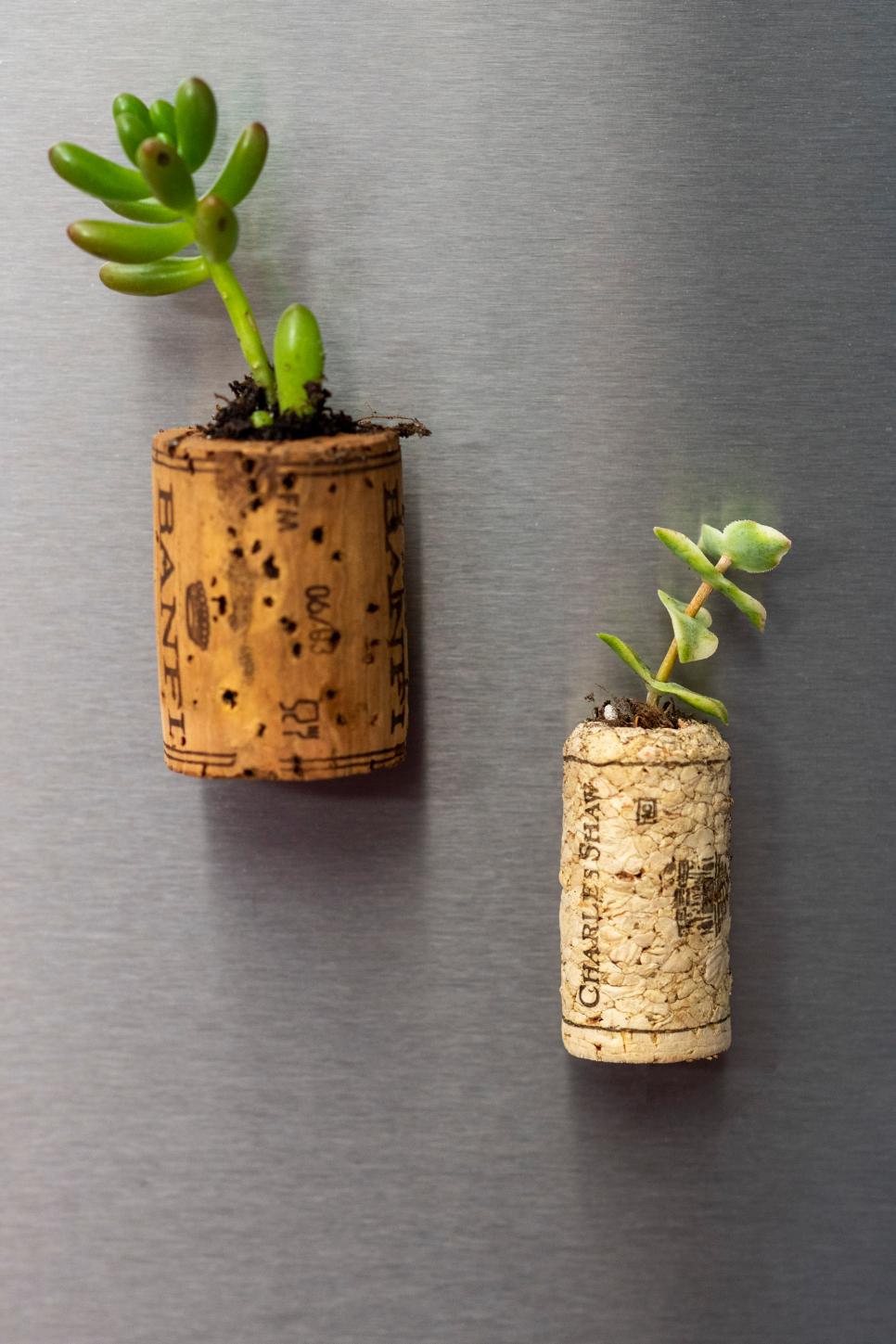 Wine Cork Succulent Planter HGTV
