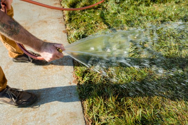 Watering New Sod