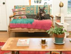 Dog Sits On Cushioned Midcentury Modern Sofa Beside Embroidered Pillow