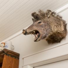 Photos Hgtv