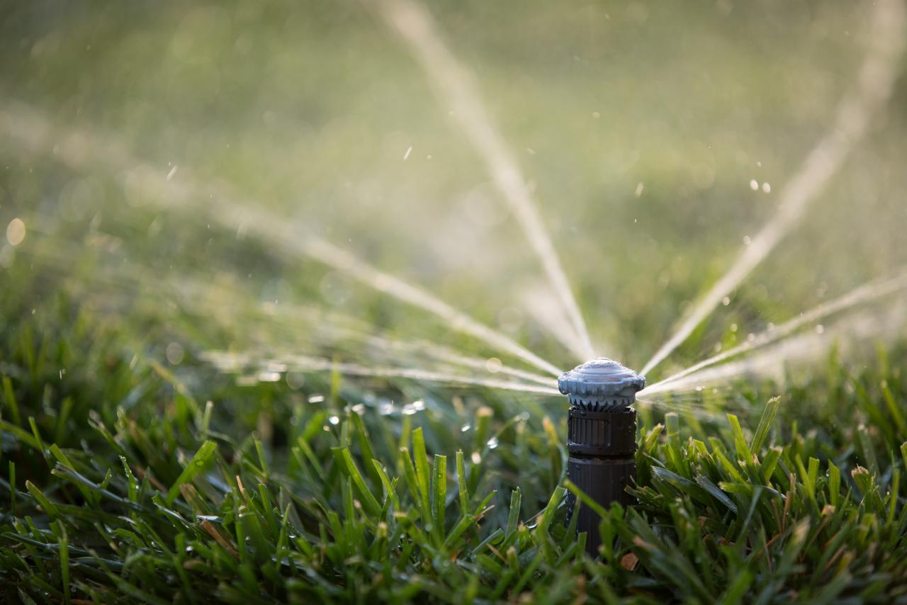 Yard Sprinkler System Installation