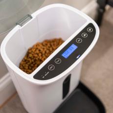Detail of Food in Automatic Pet Food Dispenser