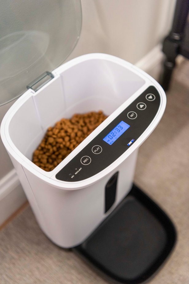 Pet food in a pet food dispenser