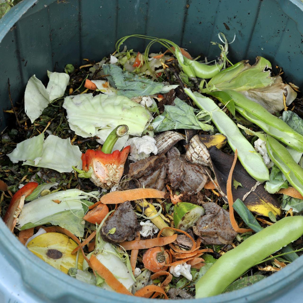 Types of Home Composting Methods and Systems