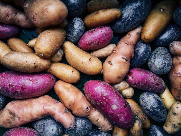 The Best Sweet Potatoes to Grow