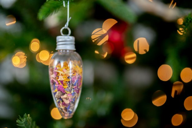 Clear ornament filled with flower seeds and dried flowers.