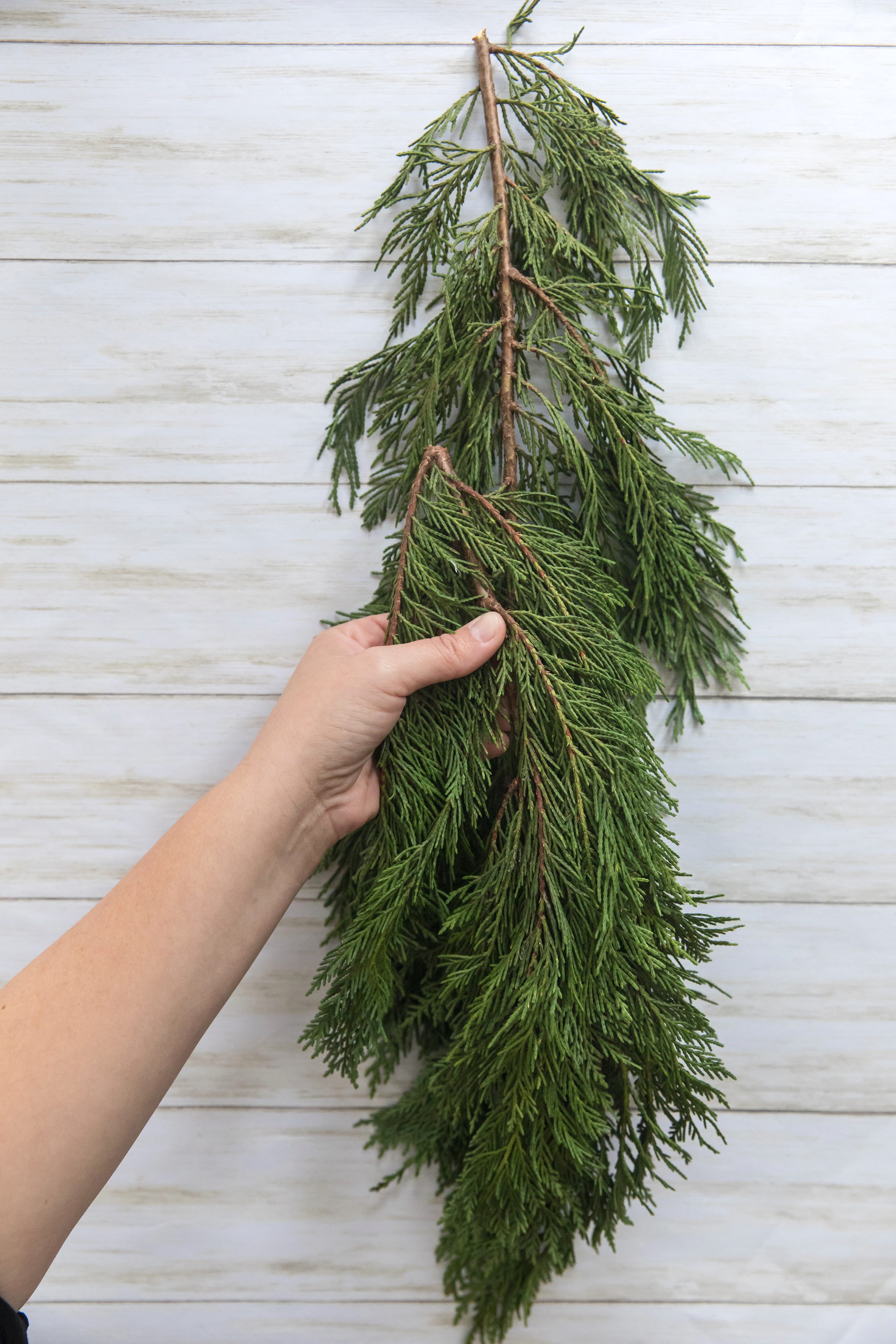 NWT 6'  Snow Ice Fir Cedar Pine Evergreen Swag Christmas Garland Tied Twig Base 