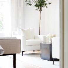 White Sitting Area With Tree