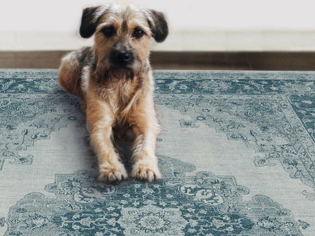 21 Best Machine Washable Rugs 2022, Best Living Room Rugs For Dogs