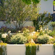 Terraced Provencal Landscaping