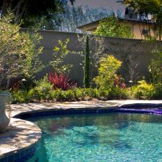 Serene Swimming Pool With Lush Landscaping