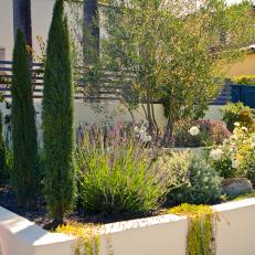 Provencal-Inspired Landscaping