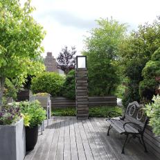 Rooftop Garden With Bench