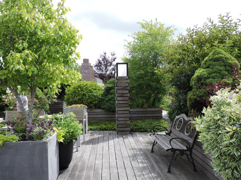 Rooftop Garden and Bench