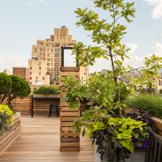 New York City Roof Deck With Planters