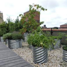 Rooftop Kitchen Garden in Pipes