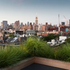 Urban Roof Deck With Grasses