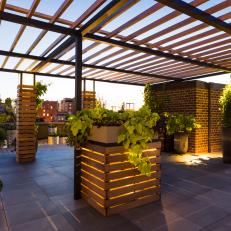 Urban Roof Deck With Planters