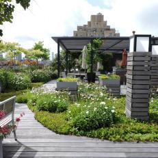 Roof Deck Garden With Sedum