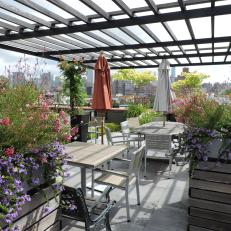 Large Roof Deck With Planters