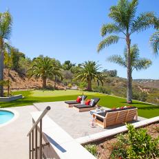 Backyard With Pool and Palm Trees