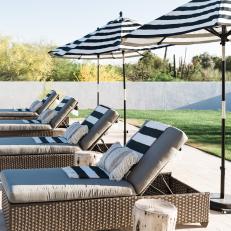 Lounge Chairs and Tree Trunk Tables