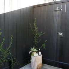Gray Outdoor Shower and Ivy