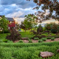 Expansive Backyard With Landscaping