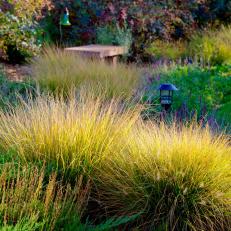 Colorful, Textured Landscaping 