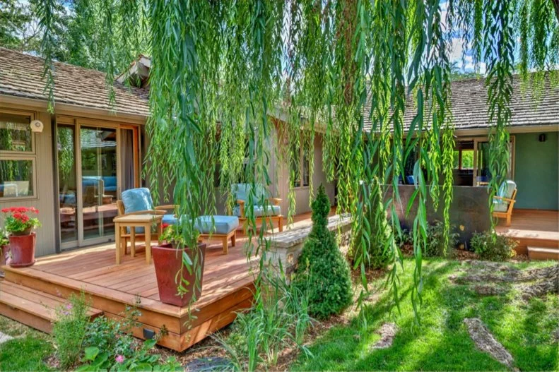 View From Beneath Willow Tree Facing Outdoor Deck And Chairs