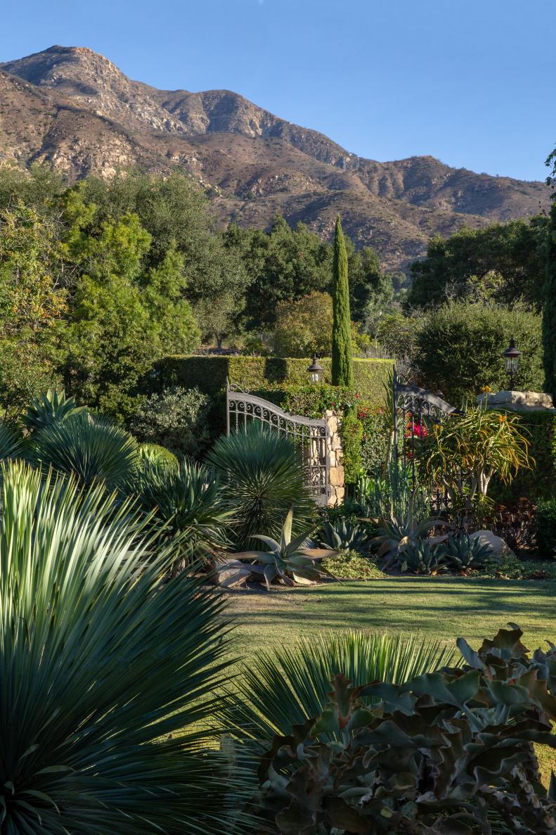 Backyard and Mountains