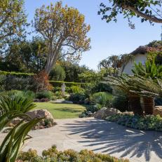 Garden With Aloes