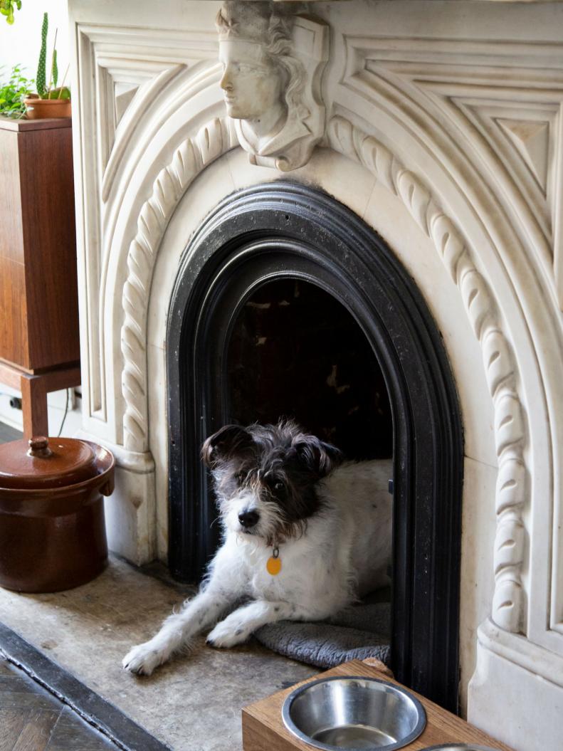 Terrier on Dog Bed in Antique Fireplace