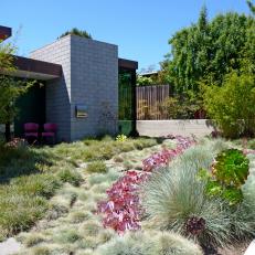 Front Yard With Succulents and Grasses