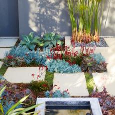 Succulent Garden With Small Pond