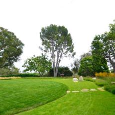 Backyard With Different Grasses
