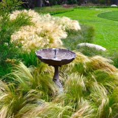 Antique Water Fountain and Feather Grass