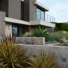 Concrete Retaining Walls and Agave