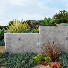 Drought Tolerant Garden With Concrete Wall