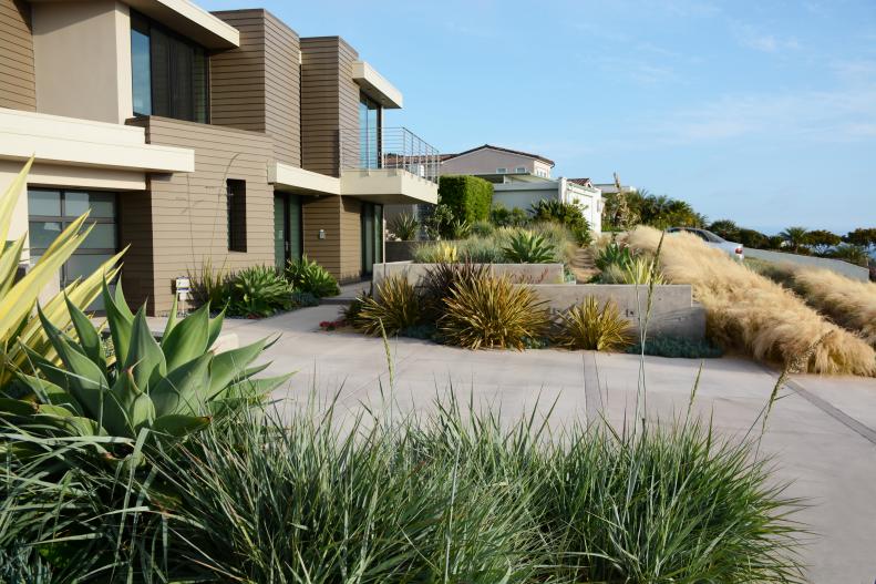 Driveway and Front Garden