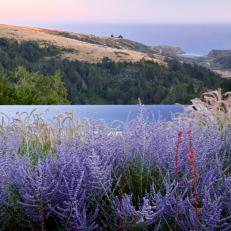 Lavender and Infinity Pool