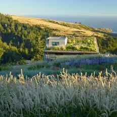Green Roof and Ocean Views