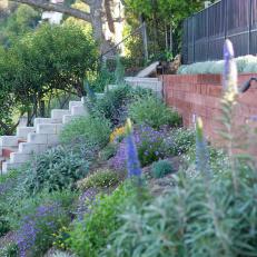 Hillside Perennial Garden Along Outdoor Staircase