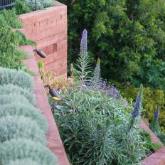 Multi-Level Garden on Terrace Wall, Purple and Green Plants