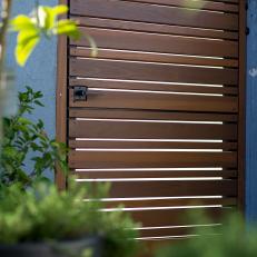 Slatted Wood Door in Stucco Garden Wall, Greenery