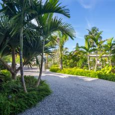 Gravel Driveway and Tropical Garden